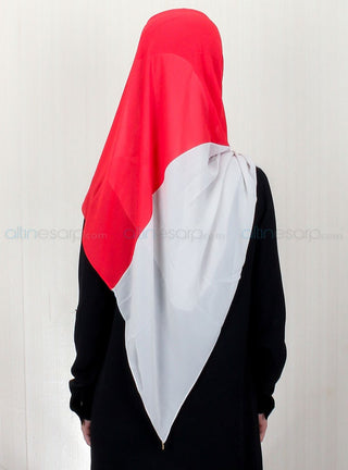 Colorful Chiffon Scarf SR4801-20