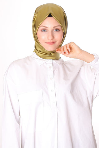 Silk Home 100% Silk Double-Sided 6000-500