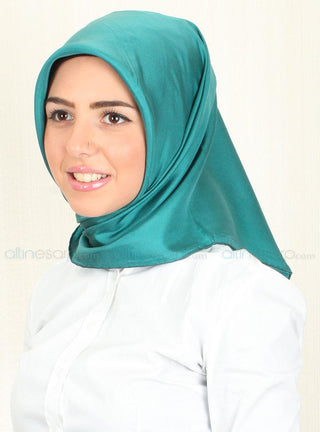 Silk Home 100% Silk Scarf 10088-37